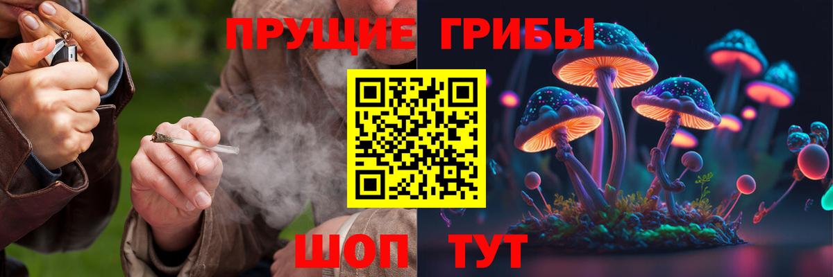 где найти наркотики  Псилоцибиновые грибы Cubensis  Вход с VPN  Галлюциногенные грибы Psilocybine cubensis  Урус-Мартан 